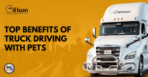 Truck Driving With Pets